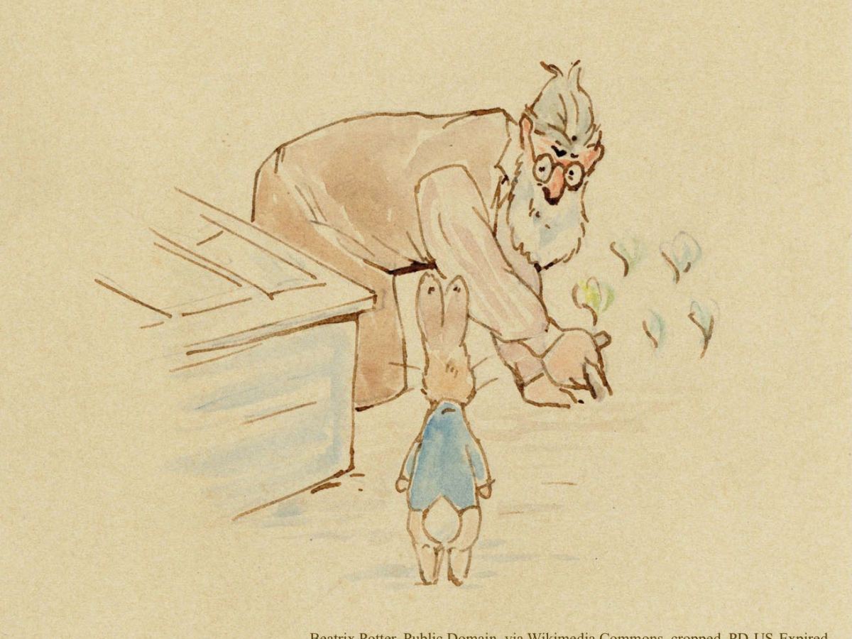 Rabbit Resistant Plants in My&nbsp;Garden