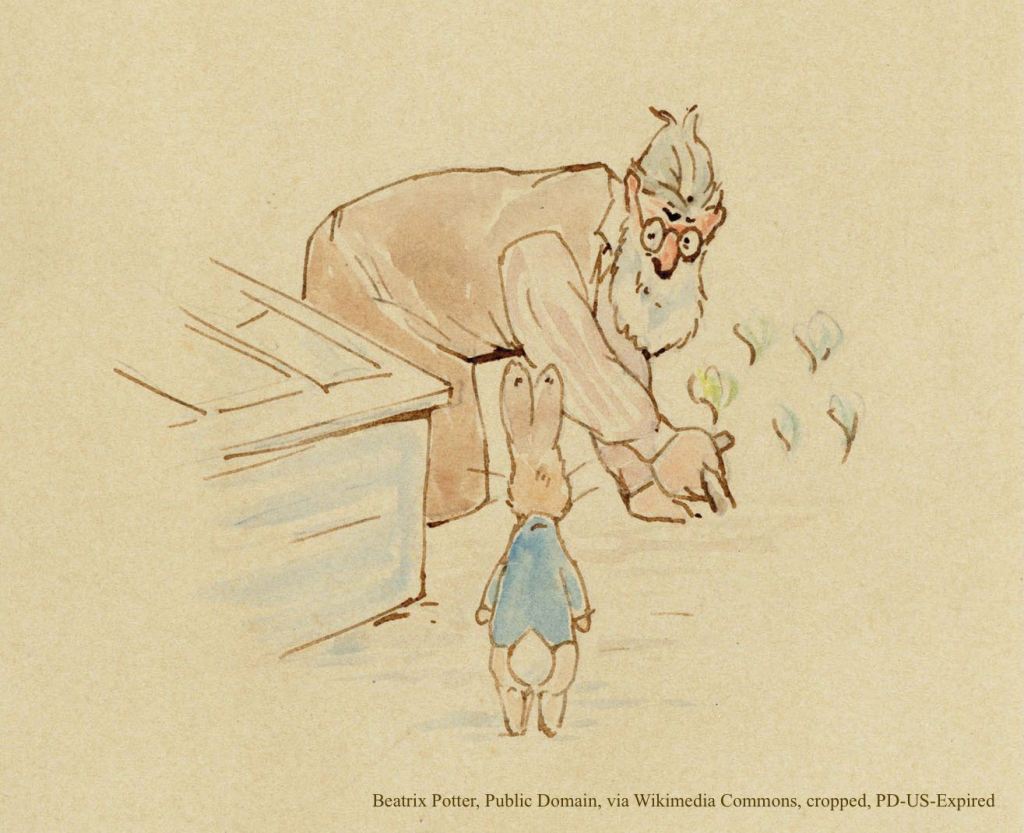 Peter Rabbit accidentally running into Mr. McGregor in his garden.