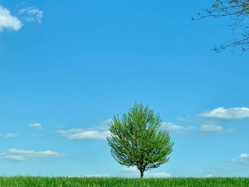 Homegrown National Park, A Hopeful&nbsp;Perspective